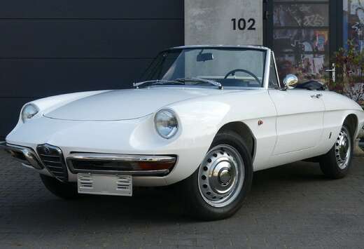 Alfa Romeo 1600 Duetto