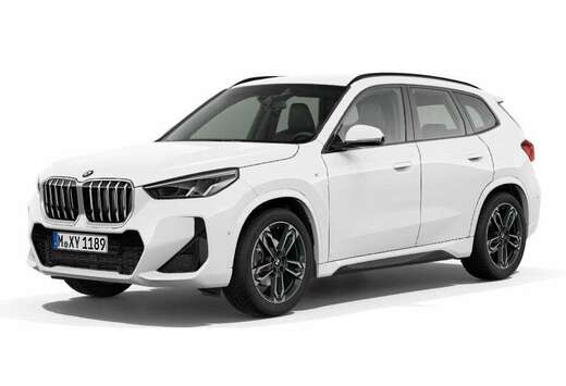 BMW sDrive18i M Sport / TREKHAAK / HARMAN-KARDON / CA ...