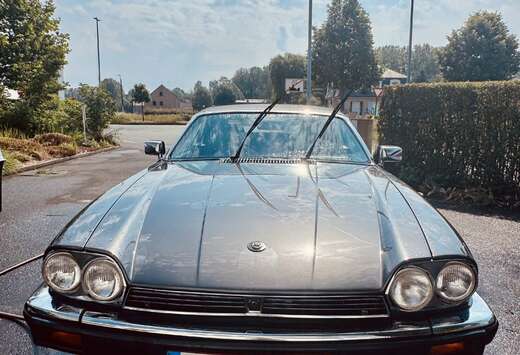 Jaguar