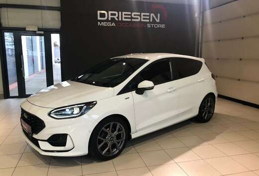 Ford EcoBoost mHEV ST-Line X BIJ DRIESEN BREE
