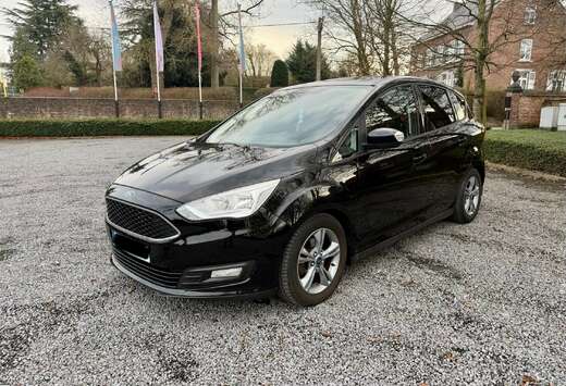 Ford 1.0 EcoBoost TITANIUM 101pk Airco Navi