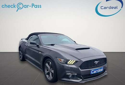 Ford CABRIOLET/CUIR/GPS/GARANTIE.12.MOIS/