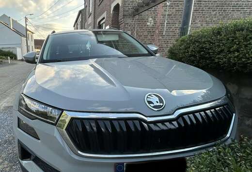 Skoda 1.0 TSI Clever