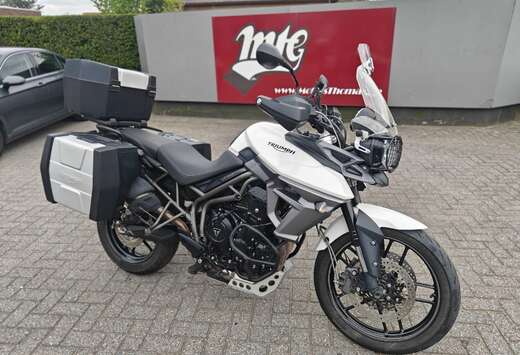 Triumph XRX