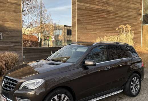 Mercedes-Benz EXPORTE  BlueTEC 4MATIC 7G-TRONIC