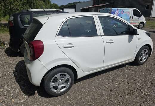 Kia kia picanto 9/2023
