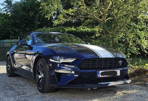 Ford ford mustang 2.3 cabriolet version fiftyfive