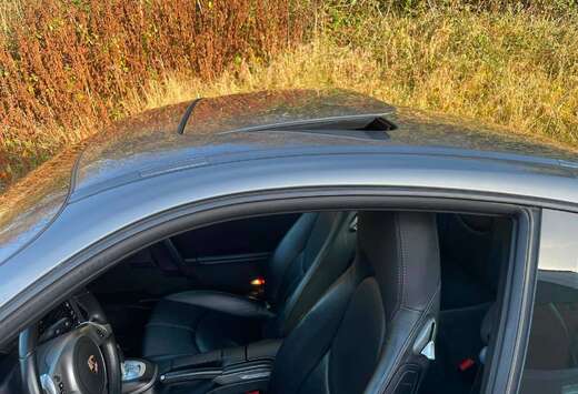 Porsche Carrera