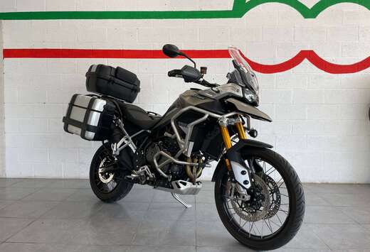 Triumph RALLY PRO