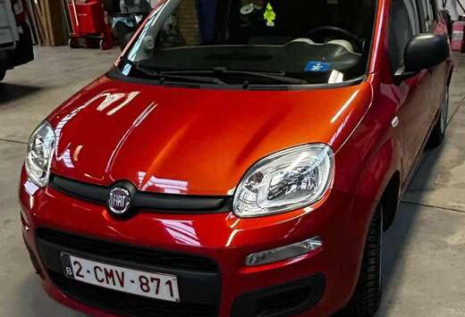 Fiat Panda 1.2 Pop