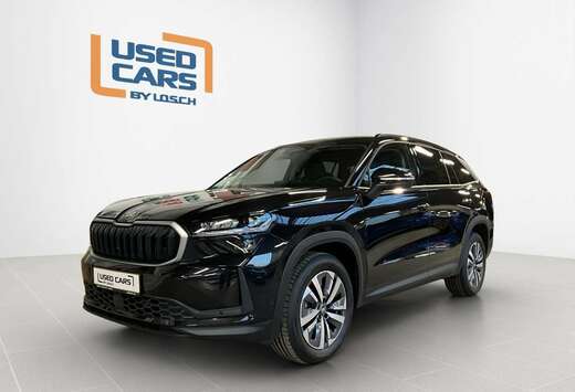 Skoda Selection+DSG+Matrix-LED+AHK