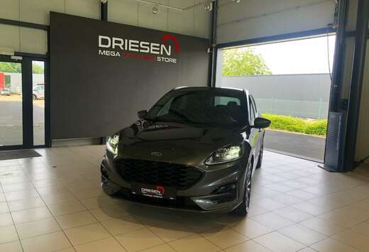 Ford ST-Line X FHEV AUT   BIJ DRIESEN BREE   089/4616 ...