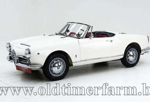 Alfa Romeo 1600 Spider \'65 CH6255