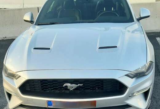 Ford Fastback 2.3 Eco Boost Aut.