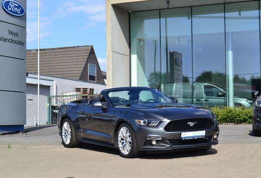 Ford Cabrio 2.3i