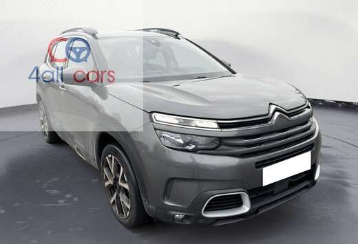 Citroen 3149 Shine Trekh, GSM-con, Camera, ParkAssist ...