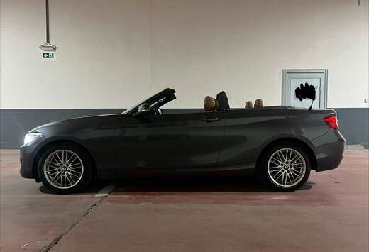 BMW Cabrio 220iA OPF (EU6c)