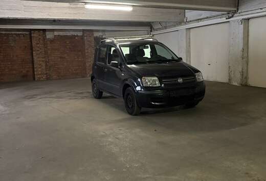 Fiat Fiat Panda, Pre Immatriculée