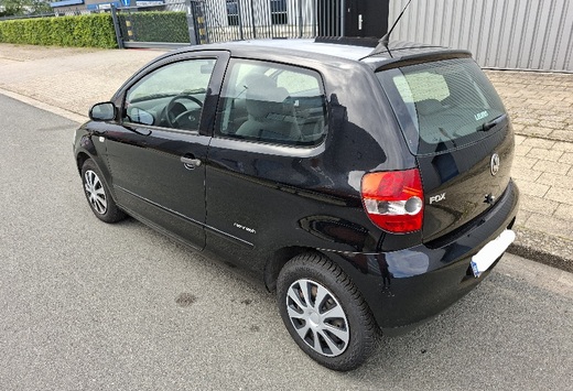 VW Fox