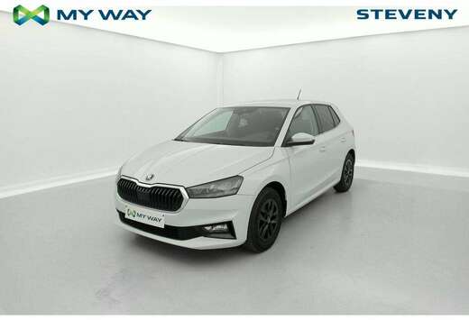 Skoda 1.0 TSI 95 Selection