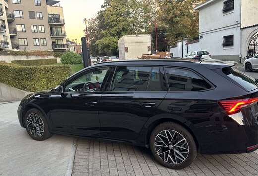 Skoda Combi 2.0 TDi Selection DSG