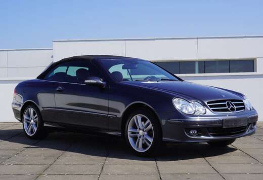 Mercedes-Benz LEDER/17\