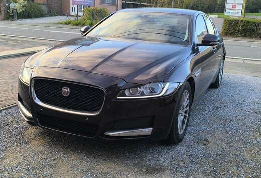 Jaguar 2.0 D - 163 ch E-Performance Pure