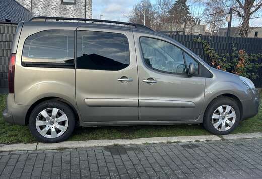 Citroen L1 1.6 HDi 75 FAP Business
