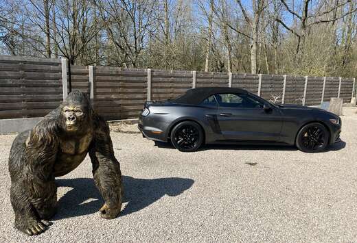 Ford Convertible 2.3 EcoBoost