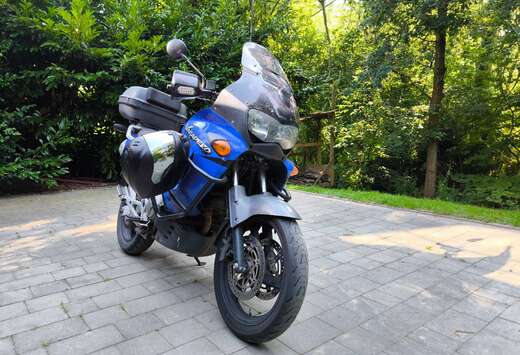 Honda XL1000