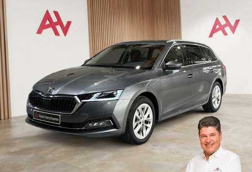 Skoda 1.5 TSI E-TEC Clever DSG7 **