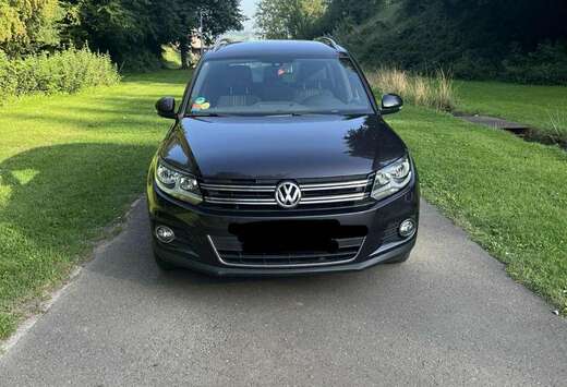 Volkswagen 2.0 TDI 110 FAP BlueMotion Technology Cara ...