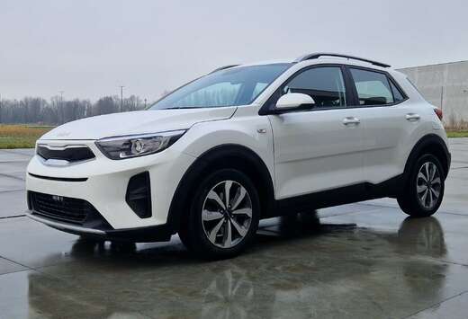 Kia 1.0 T-GDI 100 OPF Edition 7