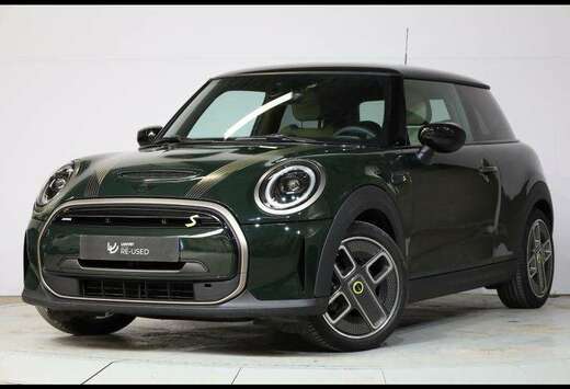 MINI RESOLUTE EDITION