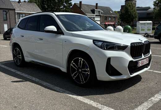 BMW sDrive20i full M Sportpaket
