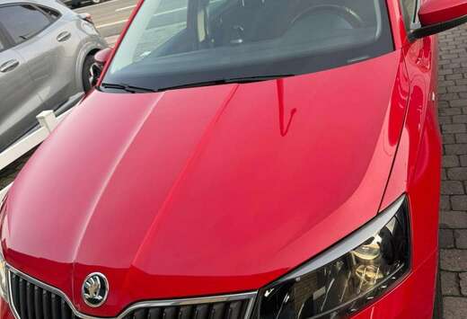 Skoda 1.0 TSI Ultimate Clever