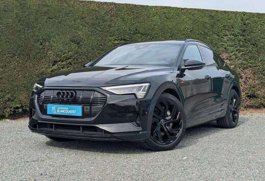 Audi (Q8)e-tron opendak - trekhaak - nachtcamera - s- ...