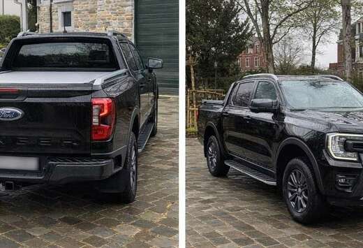 Ford 2.0 EcoBlue e-4WD Wildtrak