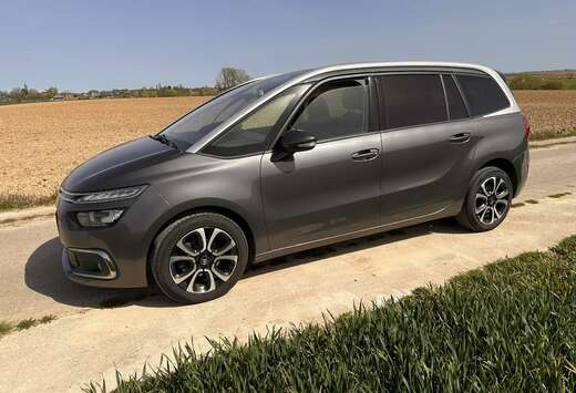 Citroen 1.5 BlueHDi Rip Curl S&S - 7 Places