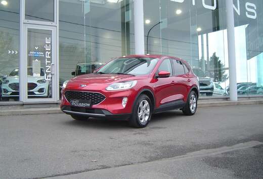 Ford 1.5 TDCi EB FWD Trend (EU6d) + GPS