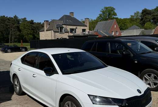Skoda 1.5 TSI ACT Ambition DSG