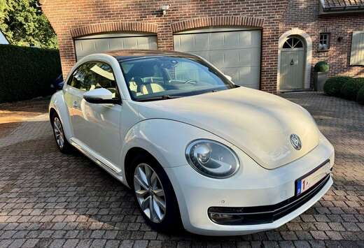 Volkswagen Beetle 1.6 CR TDi Design