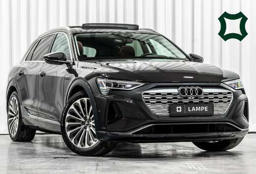 Audi 55 Quattro Luchtvering Panodak Trekhaak Head-Up