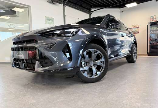 Formentor 1.5 eTSI DSG * NIEUW meerdere kleuren