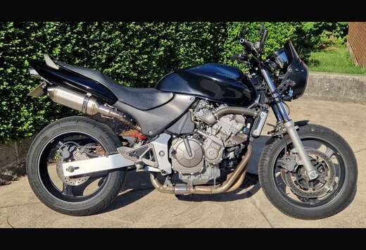 Honda hornet