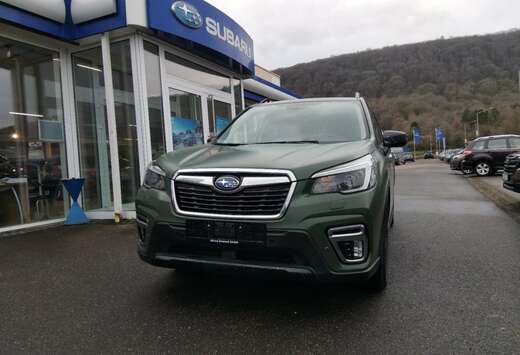 Subaru 2.0ie Premium-HUNTER  FOLIERT OLIV MATT