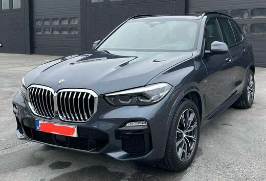BMW X5 xDrive30d xLine