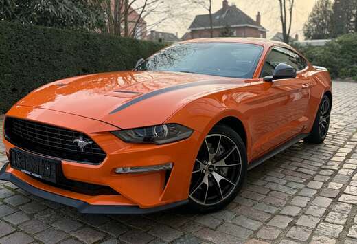 Ford 2.3 EcoBoost Fifty Five Years  ### 16000 km ###