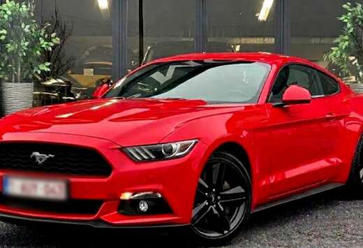 Ford 2.3L - 317cv - RED RACE - carnet ford