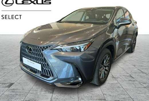 Lexus Business Line